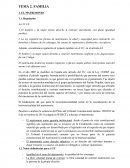 Financiero TEMA 2. FAMILIA