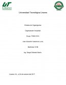 Revaloracion Síntesis de Organigrama.