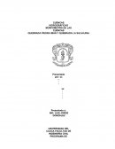 CUENCAS HIDROGRÁFICAS MORFOMETRÍA DE LAS CUENCAS