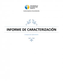 Informe de caracterizacion - Ensayos de Laboratorio. Página 1
