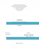 Causas, Consecuencias y Prevención