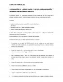 PREPARACIÓN DE LIBROS DIARIO Y MAYOR, REGULARIZACIÓN Y PREPARACIÓN DE CUENTAS ANUALES.