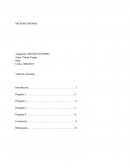 Trabajo de Aplicación - Micro economía