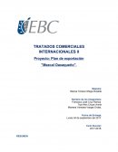 Proyecto Exportación de Mezcal Oaxaqueño