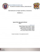 Administración de riesgos operativos y financieros