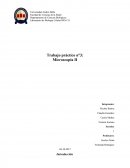 Laboratorio de Biología Celular BIO-131 Trabajo práctico n°3: