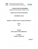 MODELOS Y TEORÍAS PARA EL CUIDADO ASISTENCIAL