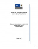 ÓRGANOS COLEGIADOS DE LA SECRETARÍA DE SEGURIDAD PÚBLICA