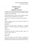 ENSAYO DE DH DERECHO A LA SALUD