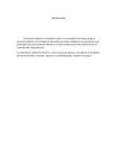 MECANISMOS PARA MEJORAR EL ROL DE UNA EJECUTIVA DE SERVICIO