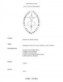 DISPOSICION DE PLANTA DE HOJUELAS DE CAMOTE