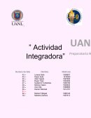 Actividad integradora IMC