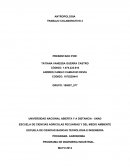 TRABAJO COLABORATIVO ANTROPOLOGIA