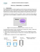 PRÁCTICA 4. TERMOQUÍMICA Y CALORIMETRÍA