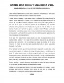 Entre una roca y una piedra