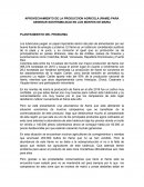APROVECHAMIENTO DE LA PRODUCCION AGRICOLA (ÑAME) PARA GENERAR SOSTENIBILIDAD EN LOS MONTES DE MARIA