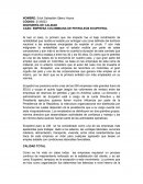 Caso ecopetrol calidad