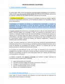 ANALISIS DEL MERCADO Y DEL ENTORNO