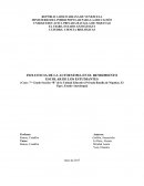 INFLUENCIA DE LA AUTOESTIMA EN EL RENDIMIENTO ESCOLAR DE LOS ESTUDIANTES