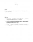 Capacidad de autocuidado de los vendedores ambulantes