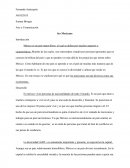 Arte y Comunicación Mexicano