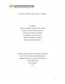 MATERIAL PARTICULADO, GASES Y VAPORES