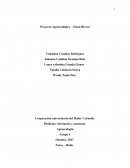 Proyecto finca Corhuila-Rivera