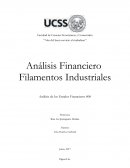 Análisis Financiero Filamentos Industriales S.A. 06/17