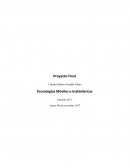 Proyecto final Tecnologías Móviles e Inalámbricas