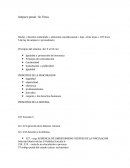 Amparo penal ; lic. Erica