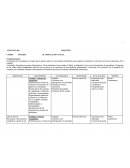 Planificacion anual para lograr que el alumno utilice el conocimiento matemático para organizar, interpretar e intervenir en diversas situaciones de la realidad