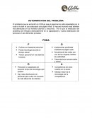 DETERMINACION DEL PROBLEMA El problema que se encontró en CHN