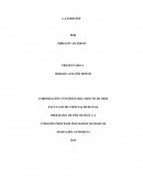 MAPA CONCEPTUAL DE LA EMOCION