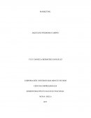 MARKETING SEGÚN MI IDEA DE NEGOCIO MI NEGOCIO ES ESCUELA DE IDIOMAS