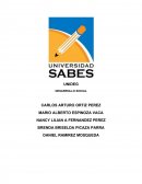 PROYECTO DESARROLLO SOCIAL