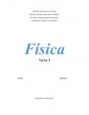Física Tema II