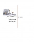 ERGONOMIA Y SEGURIDAD INDUSTRIAL