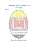 Como se dio al Migracion en honduras