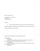 Diseño de una Entrevista Psicología Laboral y Estructural