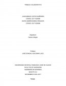 Asistentes matematicos Calculo integral