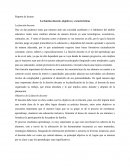 La función docente, objetivos y características