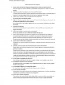 Video historia de los tulipanes