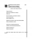 Trabajo Practico Matemáticas y Ciencias
