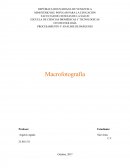 PROCESAMIENTO Y ANÁLISIS DE IMÁGENES