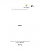 MANEJO DE LAS HERRAMIENTAS