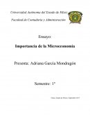 Importancia de la Microeconomía CONCLUSIONES