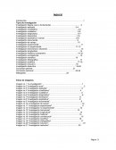 Investigación básica, pura o fundamental Investigación aplicada