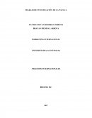 TRABAJO DE INVESTIGACIÓN DE LA PAPAYA.