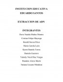 RESUMEN DE EXTRACCION DEL ADN