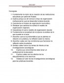 Consignas Desarrollo